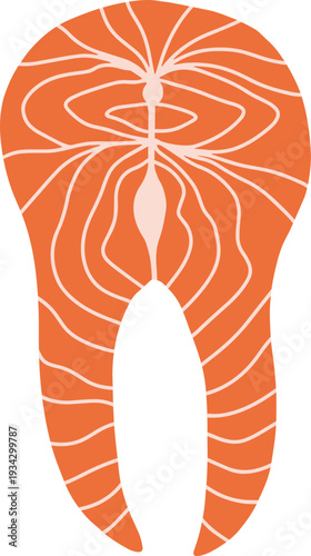 Salmon fish steak illustration representing healthy seafood