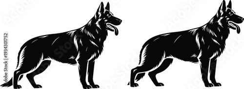 German Shepherd standing silhouette duo vector illustration, bold animal design with clean and highlighted versions, lifestyle motifs, and branding artwork