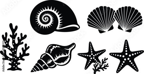 Minimalist black silhouette close up of assorted seashells conch spiral scallop star fish and coral arranged on white background vector flat design top view isolated icon