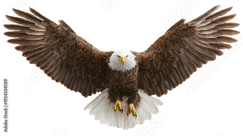 Ultra realistic HD bald eagle landing wings wide, feathers spread, isolated on white background