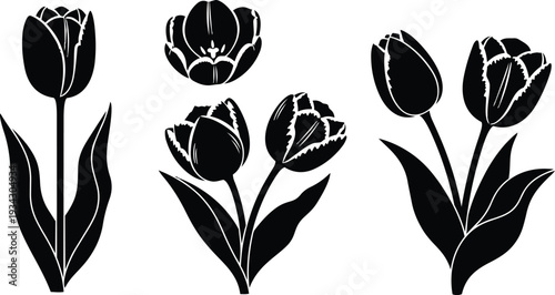 Minimalist black tulip vector set showing three tulip silhouettes close up single stem and paired stems with detailed petals side view clean floral icon composition arrangement