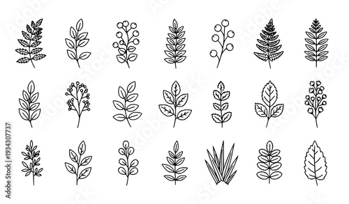 Minimal Botanical Silhouette Collection of Wild Herbs Leaves and Berries