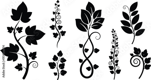 Vector art decorative swirling leaf vine set of eight black silhouette ornaments in varied angles isolated on white background ornamental floral design close up high resolution