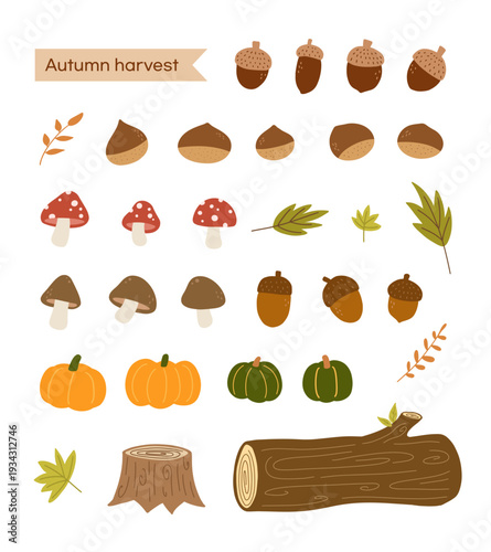 Autumn Harvest Set with Acorns, Pumpkins, Mushrooms and Leaves in Flat Style