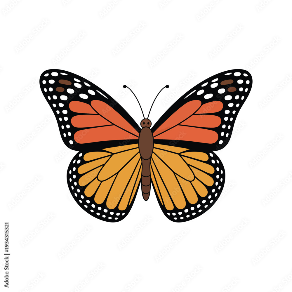 Obraz premium A colorful monarch butterfly with detailed wings is displayed on white
