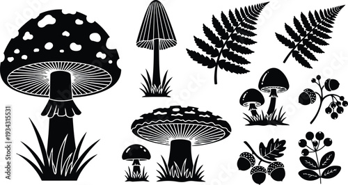 Silhouette forest mushrooms and ferns close up compilation showing toadstool acorn and berry elements in black and white vector style top down view high contrast isolated