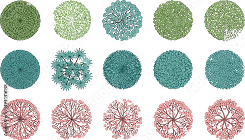 Top view decorative tree and shrub vector set, colorful round garden plants collection for landscape design, urban park planning, botanical illustration and landscape architecture projects