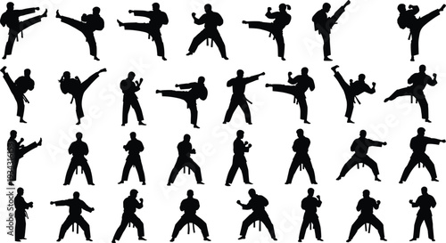 Black silhouettes of people in karate poses martial arts white background