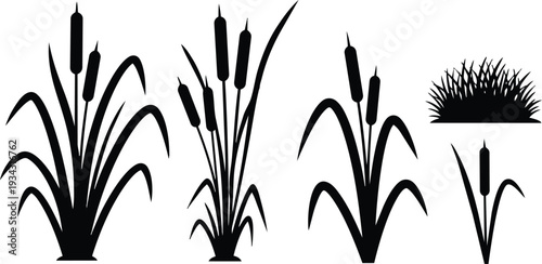 Minimalist black silhouette cattail plants close up side view vector icons of marsh reeds and bulrushes on white background studio flat isolated simple organic shapes natural