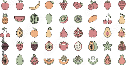 Colorful illustrations of various fresh fruits for healthy eating and nutrition