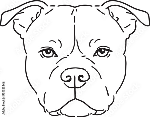 pitbull dog vector illustration