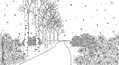 Snowy forest path lined with bare trees and flowering bushes