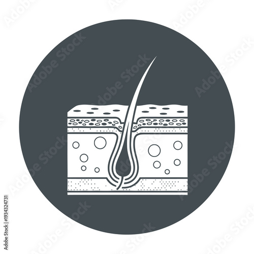 Detailed cross sectional illustration of human skin showcasing layers hair follicle and pore structure with precise anatomical accuracy for educational or medical content