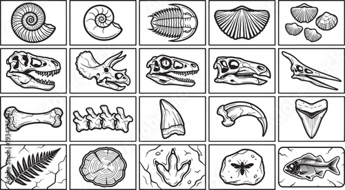 A detailed collection of fossils, capturing the essence of prehistoric life and geological history, each specimen a testament to the passage of time.
