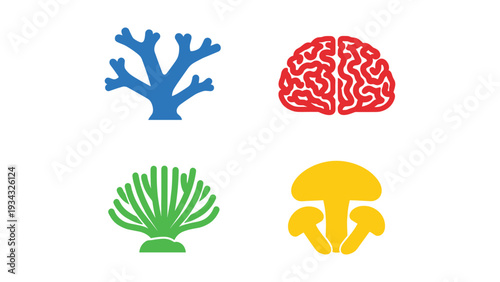Four stylized icons representing different brain and coral structures