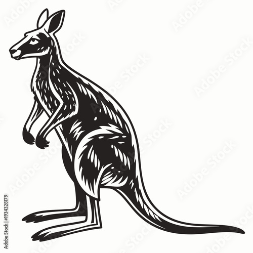 kangaroo