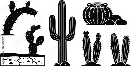 Minimalist black and white cactus silhouette set close up variety of desert cacti including saguaro barrel prickly pear and tall columnar shapes isolated on white background