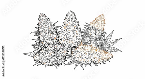 Artistic depiction of cannabis buds and leaves with a sketched outline and subtle color