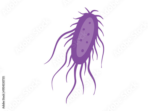 Salmonella Bacteria Illustration
