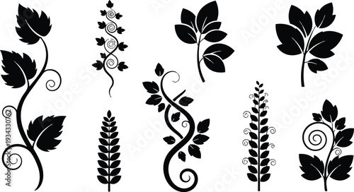 Decorative vector leaf and vine silhouettes in close up arrangement with swirling stems varied leaf shapes isolated on white background minimalist black botanical motifs ornamental designs