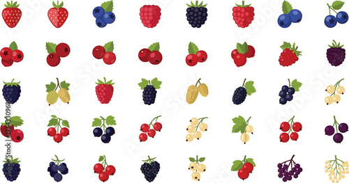Vibrant collection of various colorful berries and fruits