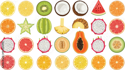 Tropical Fruit Slices Collection with Citrus, Kiwi, Coconut, Watermelon, Papaya and Exotic Fresh Produce Vector Illustration Set
