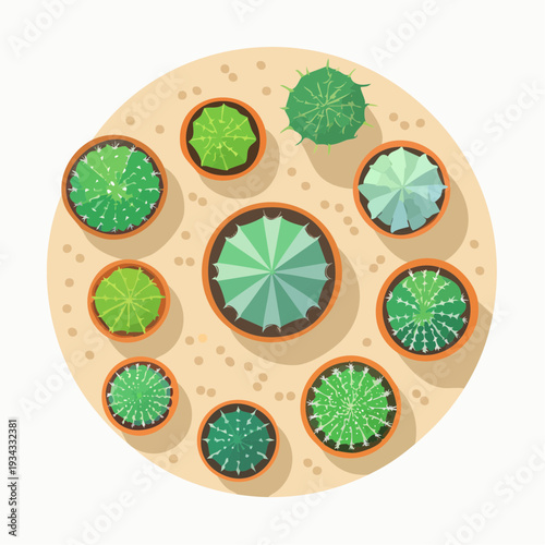 Various cactus plant species with flower in pots arranged in a circular ecology pattern on a beige background viewed from above as a vector illustration