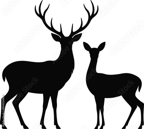 Deer stag and doe silhouettes pair, wildlife forest animals isolated on white background hunting and nature design