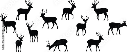 Deer silhouettes set in various poses, stag wildlife animal collection isolated on white background hunting design