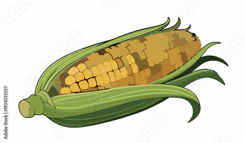 Fresh Sweet Corn Cob with Peeled Green Husks and Golden Kernels Vector Illustration