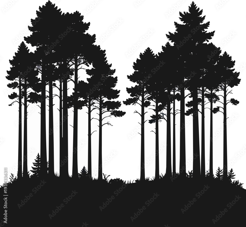 Fototapeta premium Forest Silhouette Black and White Vector Illustration