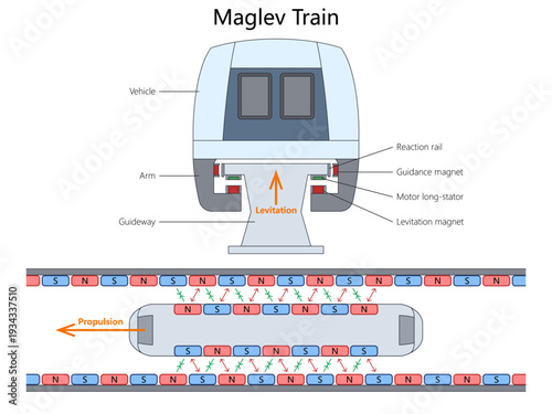 maglev train showing magnetic levitation, propulsion system, guidance magnets and reaction rail structure diagram hand drawn schematic vector. Science educational illustration