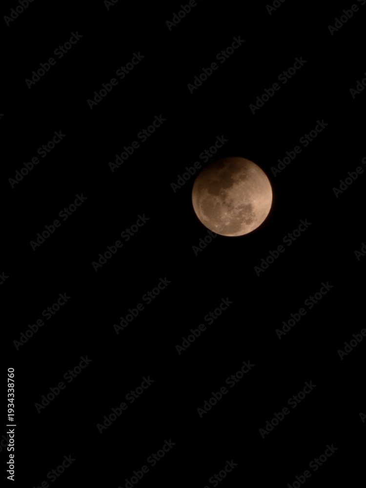 Obraz premium moon in the night sky