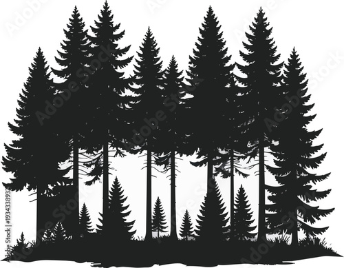 Forest Silhouette Black and White Vector Illustration