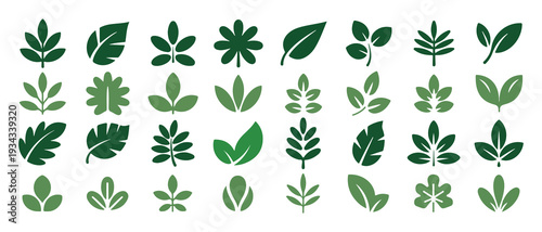 Green leaf cluster icons and organic plant symbols set. vector illustration eps 10