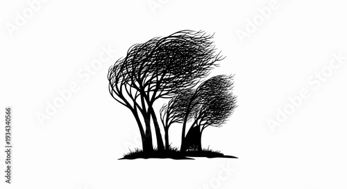 Stark silhouette of windswept trees on a white background