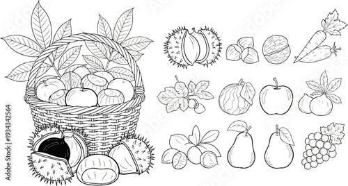 Line art of a woven basket overflowing with assorted fruits and nuts