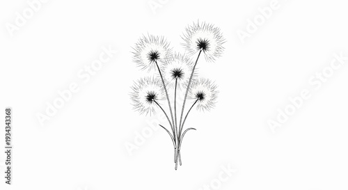 Delicate illustration of a small bouquet of fluffy dandelions on a white background