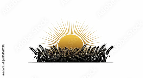 Golden sunrise over a field of dark wheat stalks