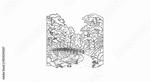 A rustic bridge crosses a stream in a dense forest with a bench nearby