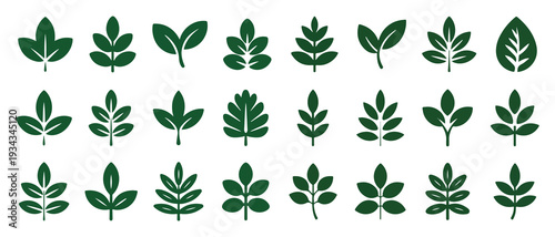 Solid green plant and leaf icons collection for garden design. vector illustration eps 10