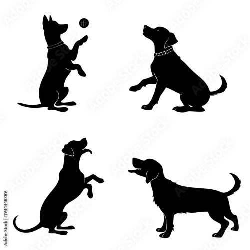 Four different black silhouettes of dogs interacting with a ball in various playful poses on a white background
