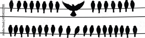 Silhouette of Birds Sitting on Electric Wires with Flying Bird Spread Wings, Black Flock Illustration Isolated on White Background