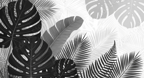 Monstera and palm leaves pattern in black and white.