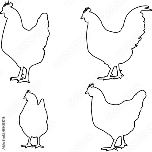 Simple line art depicting four different views of a chicken