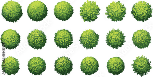 Top view vector illustration set of green trees palms and garden shrubs for architectural landscape design site planning map masterplan and outdoor park.