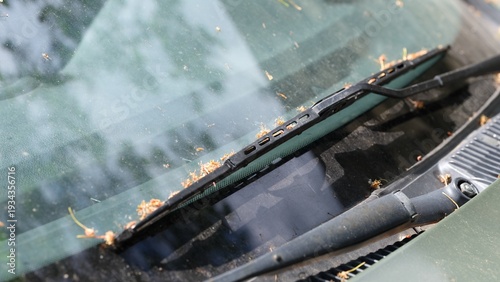 A close-up of a dirty car windshield and wiper blade covered in fallen spring tree pollen and seeds.