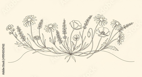 Botanical illustration of wildflowers and grasses in a decorative arrangement.
