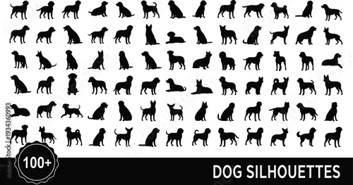 jfghnbjknbmngjfnhbmnbjkhfkmfnglkgjtjkfhgfhgjdkfhgjkfbkvcbndfjkhgkjfhguikfjurhgidhgjkfngdjkfnglkcvbjjkfnbnjnvbnvjkbgnjkdfhgfhgjkdfjkfnbjkbnjkcvngb