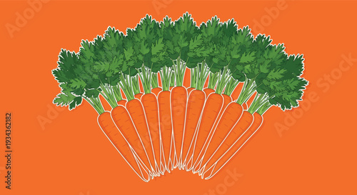 Fresh bunch of vibrant orange carrots with green leaves on orange background